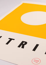 Load image into Gallery viewer, Antrim