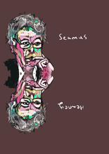 Load image into Gallery viewer, Seamus Heaney
